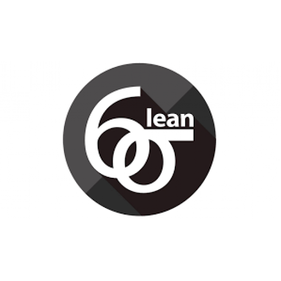 Lean Six Sigma Black Belt